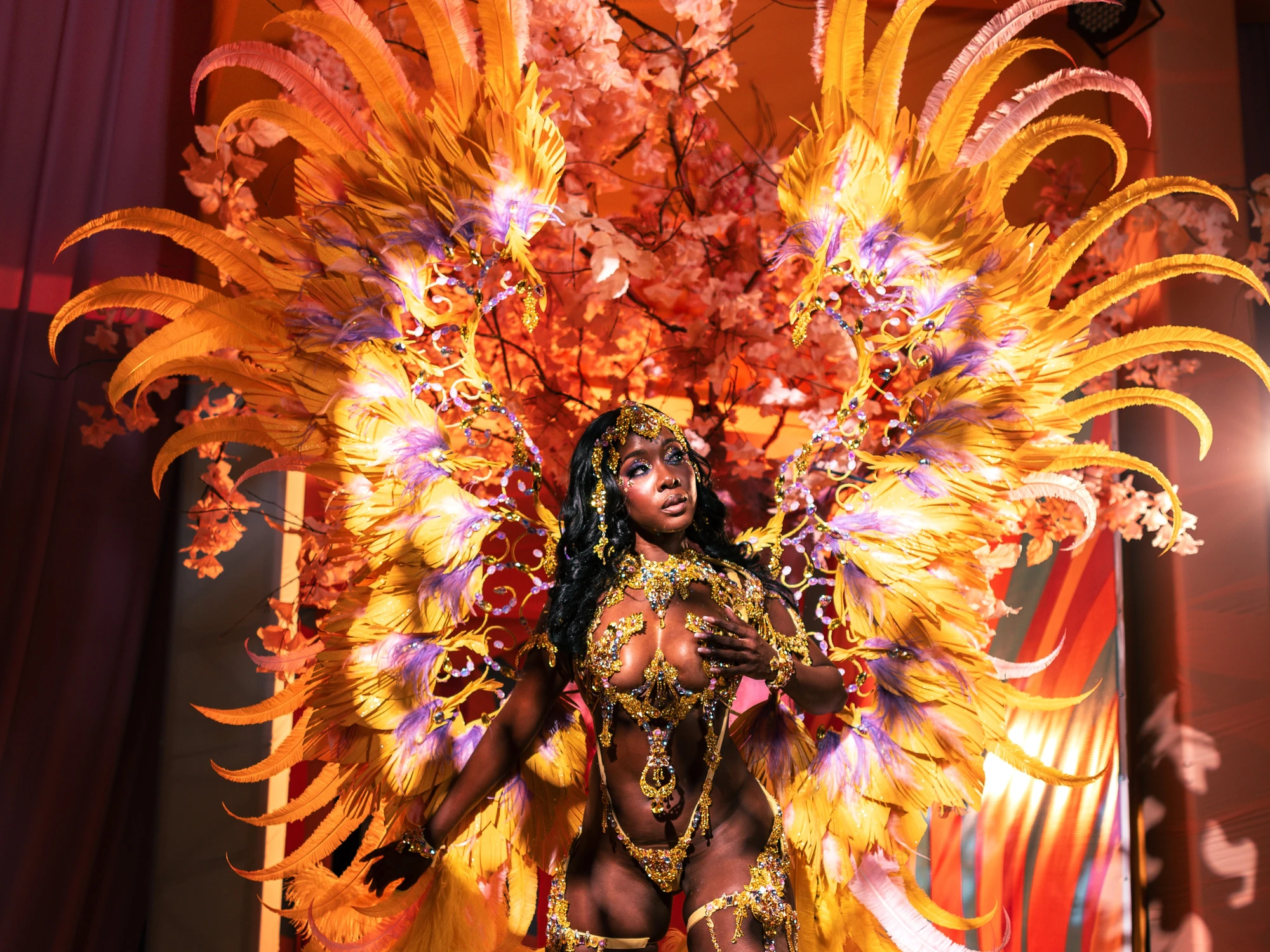 The CHÉRIE costume shown in full — jewelled bra, belt and leg chains beneath a feathered backpack at full span.