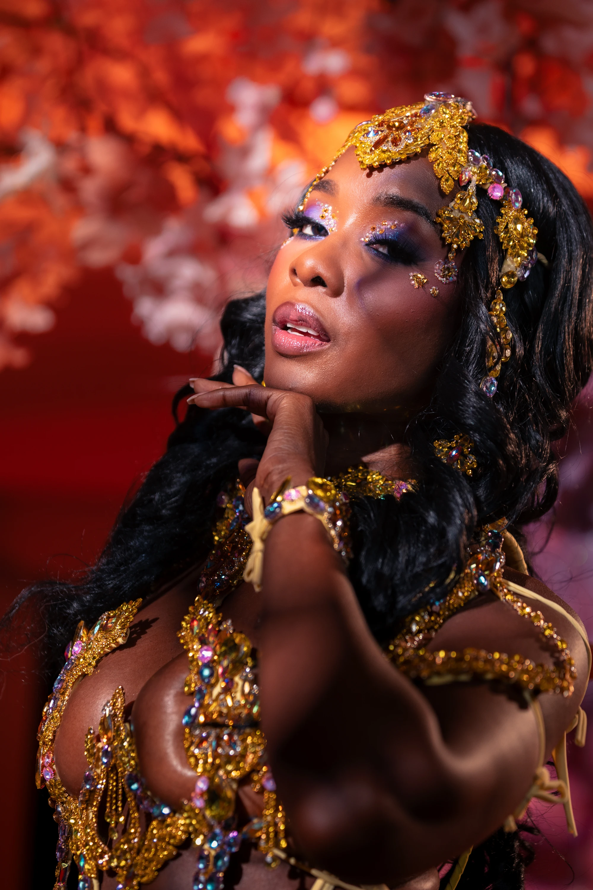 The CHERIE costume shown in full — jewelled bra, belt and leg chains beneath a feathered backpack at full span.