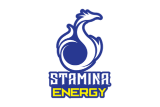 Stamina Energy